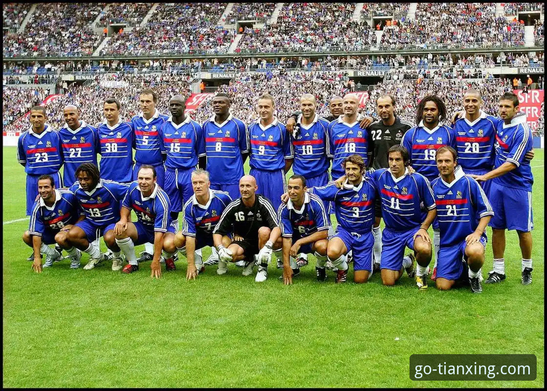 世界杯绝杀之夜：民主刚果重返舞台操作教程——天行体育平台深度观赛指南