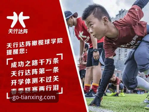 天行体育平台使用教程：2026新版功能详解与操作指南
